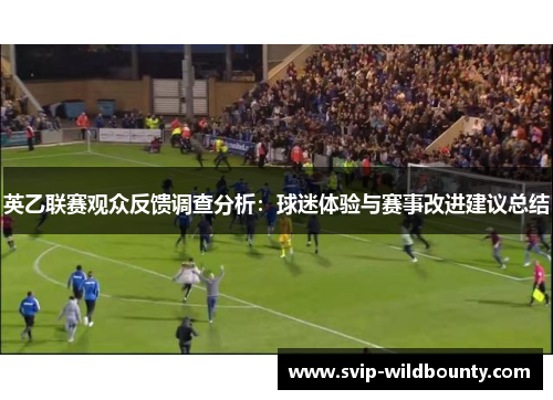英乙联赛观众反馈调查分析：球迷体验与赛事改进建议总结