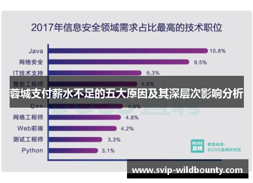 蓉城支付薪水不足的五大原因及其深层次影响分析 蓉城支付薪水不足的五大原因及其深层次影响分析