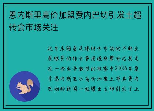 恩内斯里高价加盟费内巴切引发土超转会市场关注