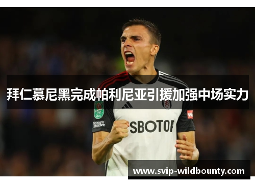 拜仁慕尼黑完成帕利尼亚引援加强中场实力 拜仁慕尼黑完成帕利尼亚引援加强中场实力