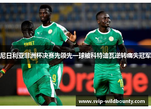 尼日利亚非洲杯决赛先领先一球被科特迪瓦逆转痛失冠军